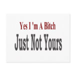 Yes I Am A Bitch 3 Post Card