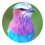 Yes I'm a Blue Bird Round Sticker