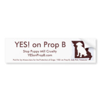 YES! on Prop B Bumper Sticker