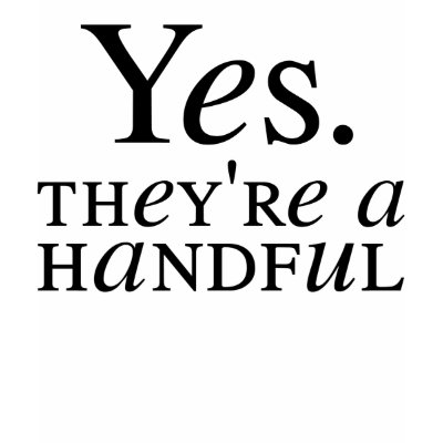 Yes. They're a Handful Tshirt by MudpuddleTwins