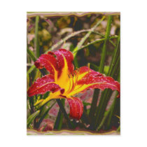 Yesterday Lily After The Rain Postcard