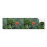 Yew tree fruit (taxus brevifolia) bumper stickers