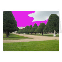 Yew Trees at Hampton Court, UK Card