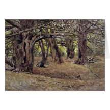 Yews in the Old Yew Wood Greeting Cards