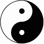 Yin and Yang photo sculptures