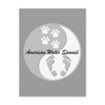yin yang american water spaniel post card