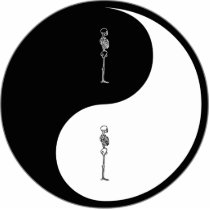 Yin Yang Chiropractic Cut Outs