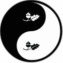Yin Yang Ecology photo sculptures