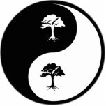 Yin Yang Environmental Science photo sculptures