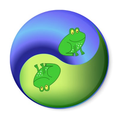 Yin Yang Frog Magnet by AllPetsStore