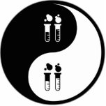 Yin Yang Mad Science photo sculptures