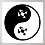 Yin Yang Molecular Biology posters