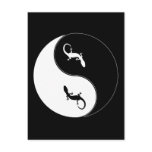 Yin Yang Salamander