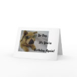 Yo Dog, , It's You're , Birthd... cards