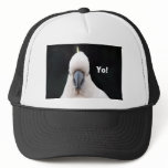 Yo! hats