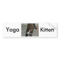 Yoga Calico Cat bumper stickers