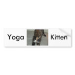 Yoga Calico Cat bumper stickers