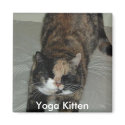 Yoga Calico Kitty Cat magnets