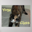 Yoga Cat posters