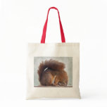 Yoga Squirrel Bag