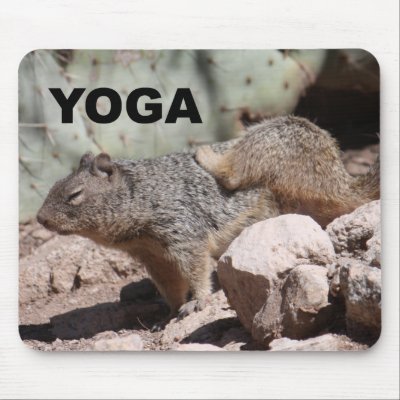 Yoga Squirrel Mousepad by poozybear