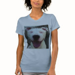 YogiTeeHeeTshirt, You're breeding MORE pit bull...
