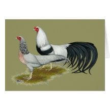 Yokohama:  Silver Duckwing Pair Card