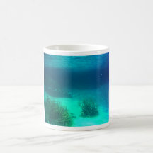 Yonge reef mugs