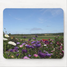 York, PEI mousepad