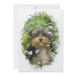 York Terrier Dog Invitation