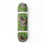 York Terrier Dog Skateboard
