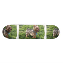 York Terrier Dog Skateboard