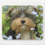 York Terrier Mouse Pad mousepads