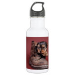 Yorkie and boot 532 ml water bottle