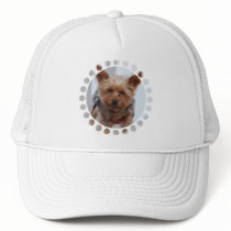 Yorkie  Baseball Hat