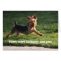 YORKIE BIRTHDAY CARDS