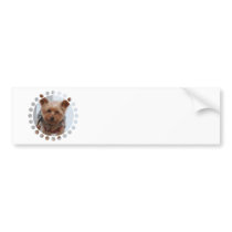 Yorkie  Bumper Sticker