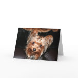 Yorkie cards