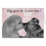 Yorkie Dog Gone It cards