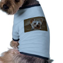 Yorkie Dog Shirt