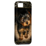 Yorkie Love iPhone 5 Cover