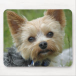 Yorkie Mouse Pad