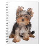 Yorkie Notebook
