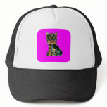 Yorkie Poo Mesh Hats