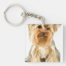 Yorkie Puppy Acrylic Keychain