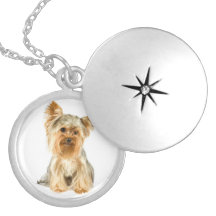 Yorkie Puppy Locket