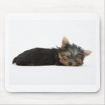 Yorkie Puppy Sleeping mousepads