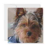 Yorkie Terrier  Invitations