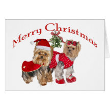 Yorkie two Merry Christmas Greeting Card