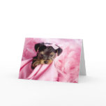 Yorkie Valentine Card